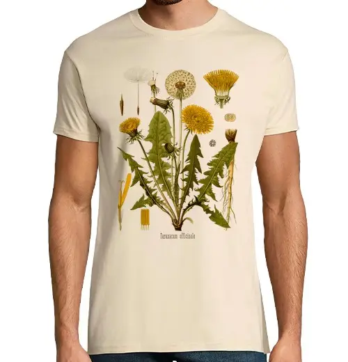 T-shirt uomo manica corta DENTE DI LEONE, illustrazione botanica antica