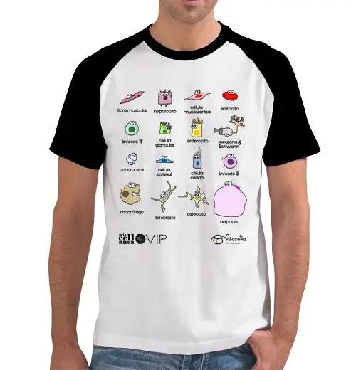 Tostadora T-shirt Uomo 2756169