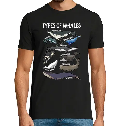 Tostadora T-shirt Uomo 4113775