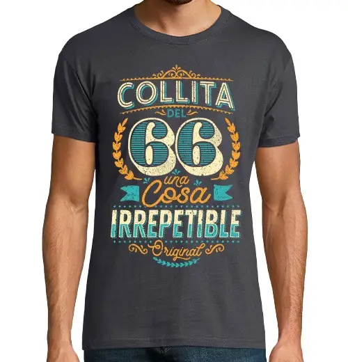 T-shirt uomo manica corta vendemmia del 66 irripetibile