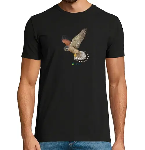 Tostadora T-shirt Uomo 2721819