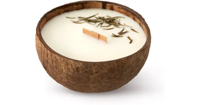 Forest Wood candela profumata con stoppino in legno con stoppino in legno 350 ml