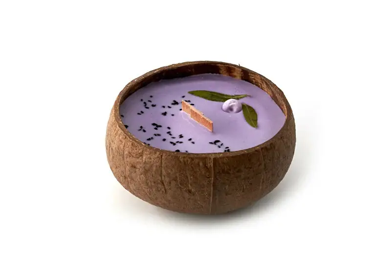 Candela al cocco - aroma di mirtillo e vaniglia