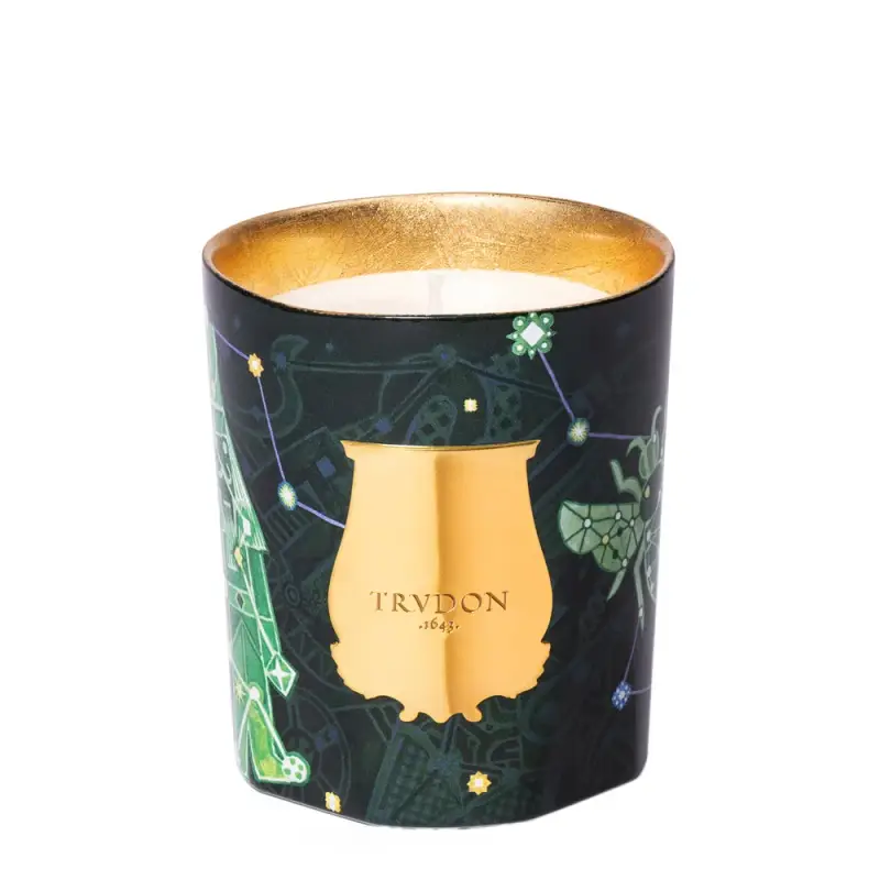 Candela natalizia in abete Trudon