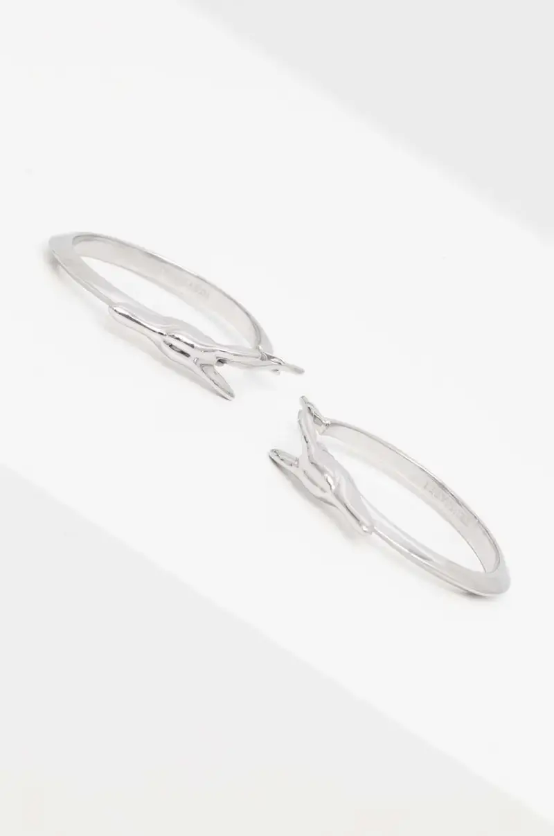 Trussardi Orecchini Argento 3568097