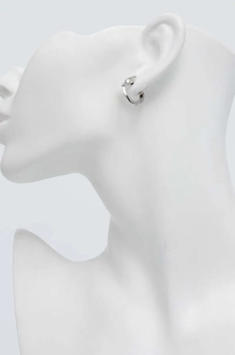 Trussardi Orecchini Argento 3568098 miniatura 4