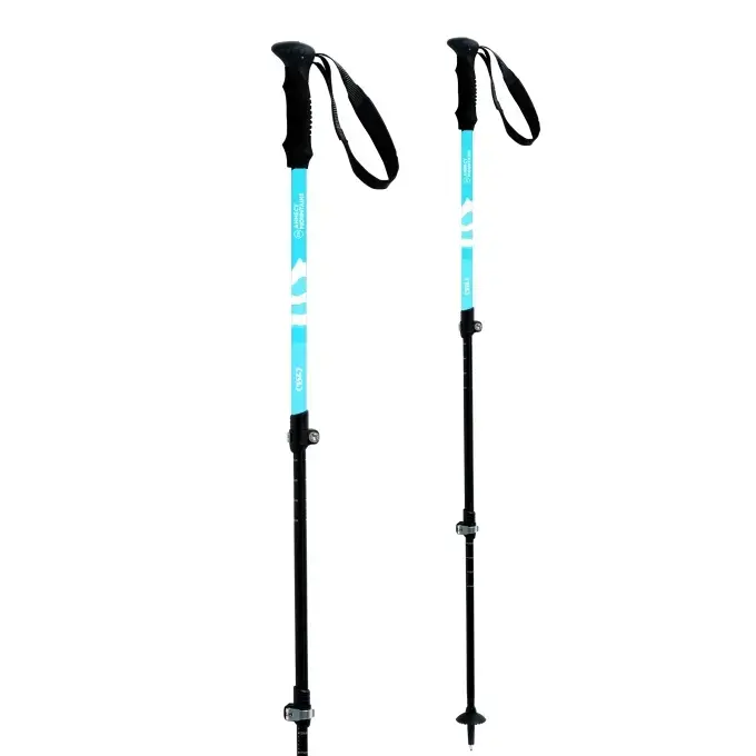 Bastone da trekking TSL Country A3 Light (x2)