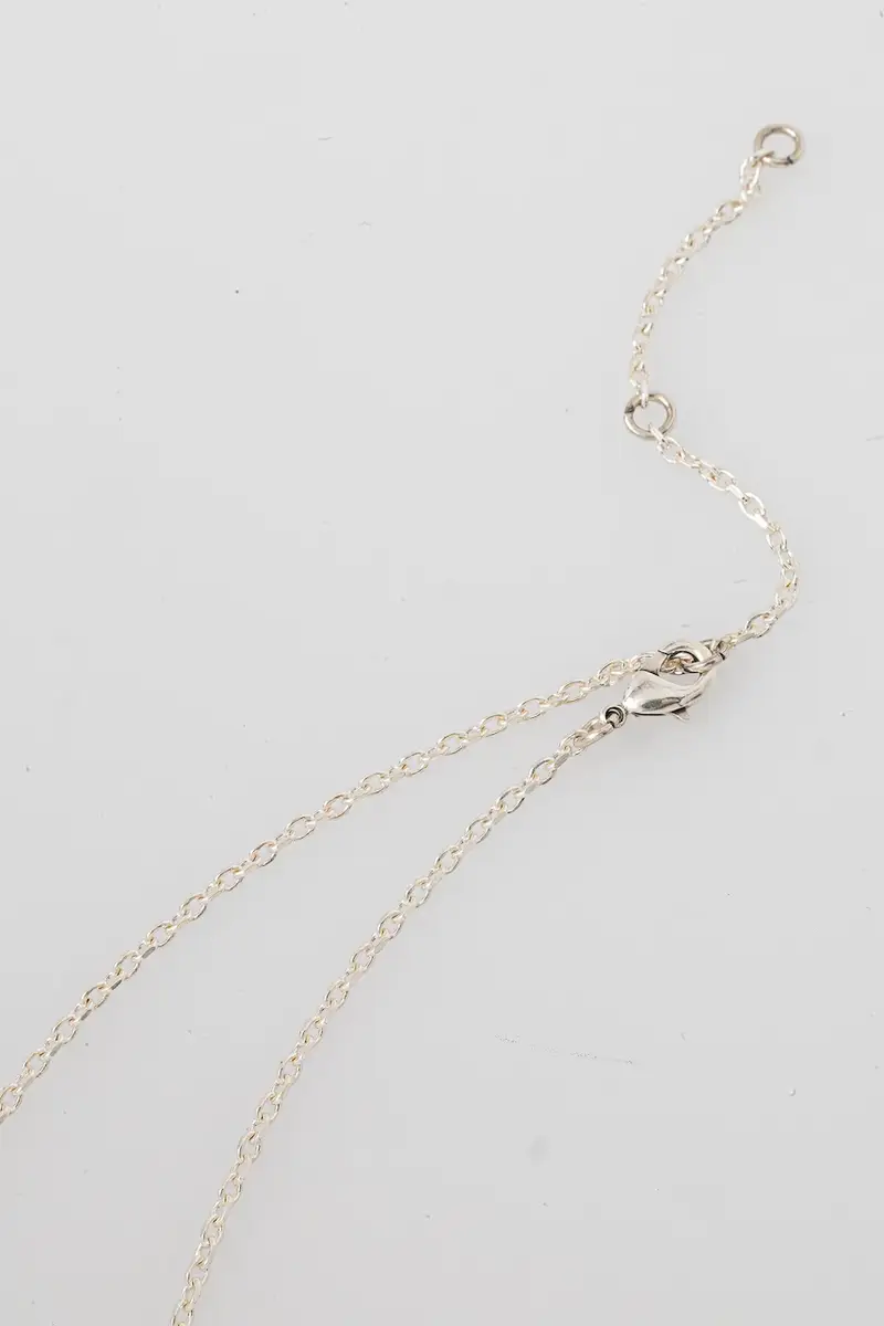 collana d'argento 106125001 miniatura 2