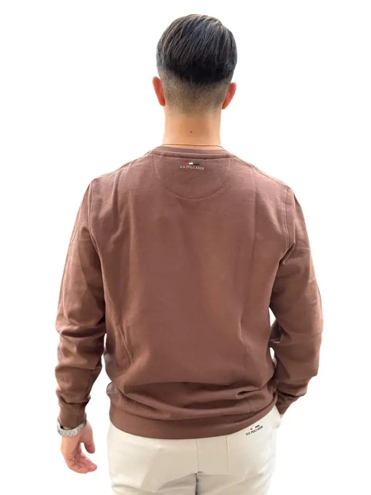 felpa marrone uomo logo sul petto miniatura 2