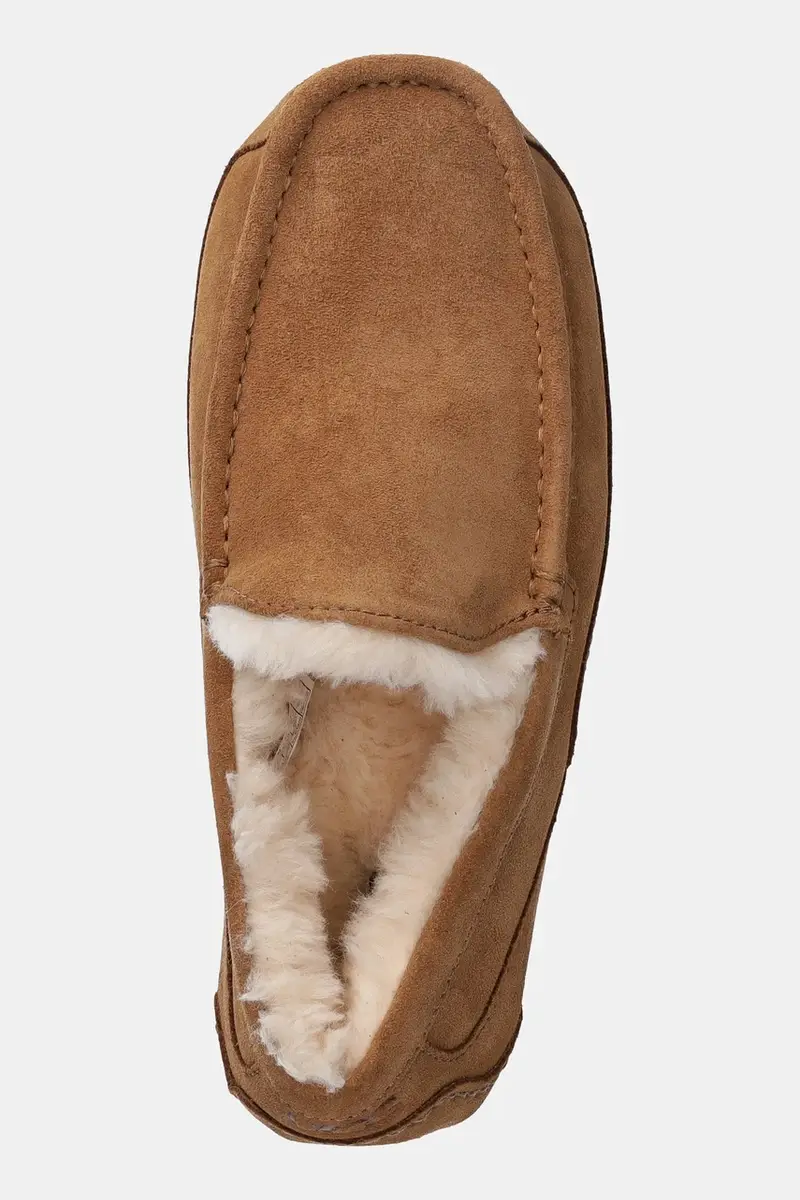 Ugg Pantofole Marrone 3138065 miniatura 4