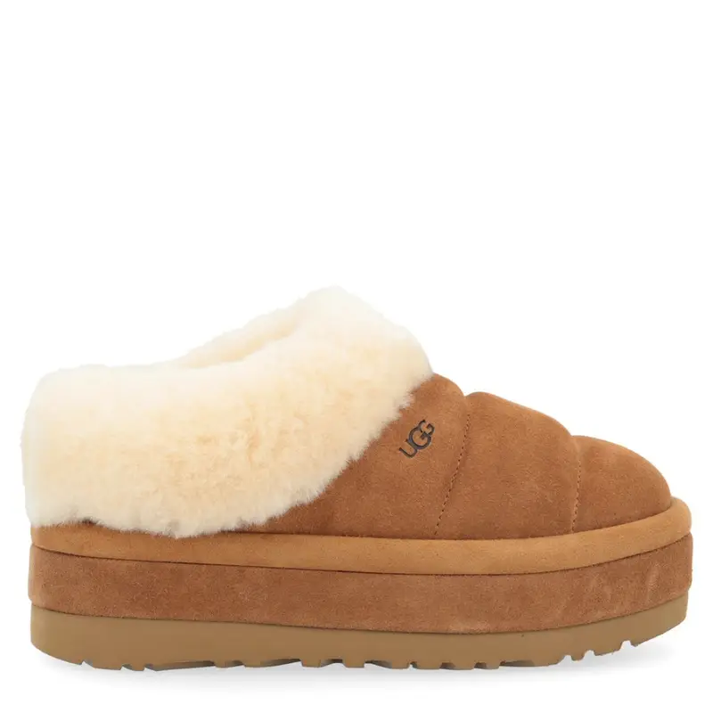 Ugg Tazzlita Nocciola - 36