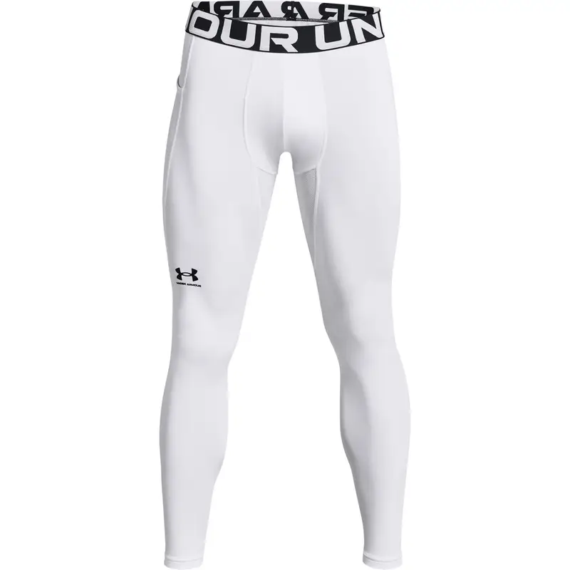 Under Armour Leggings 4248619