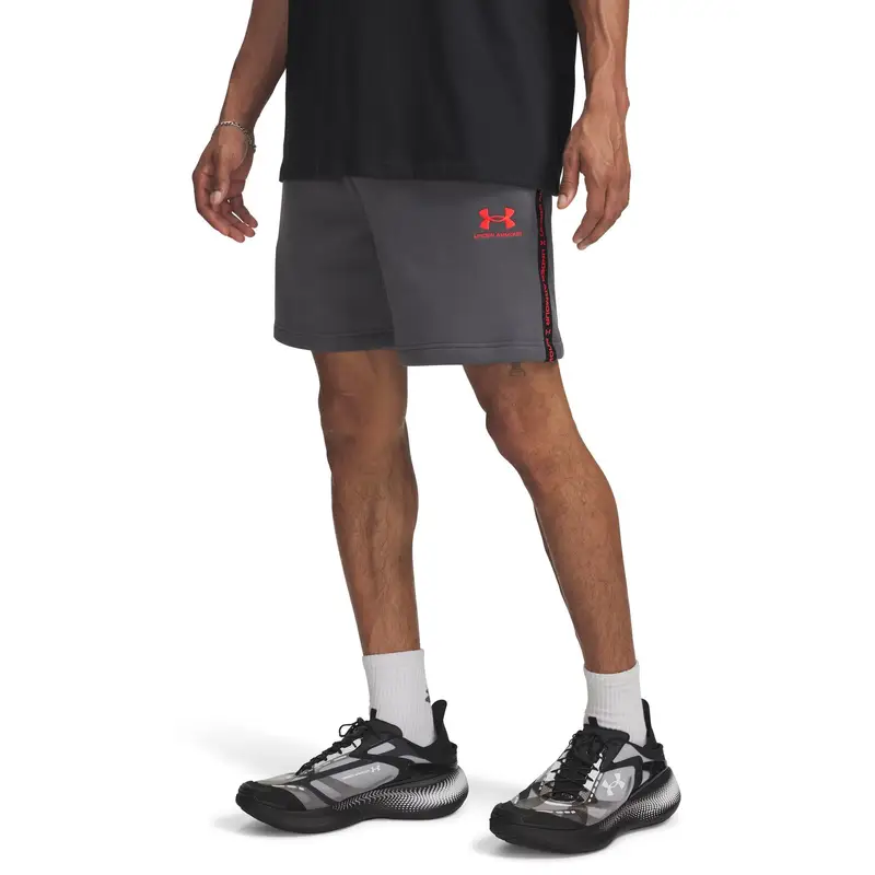 Shorts Under Armour Icon Gris