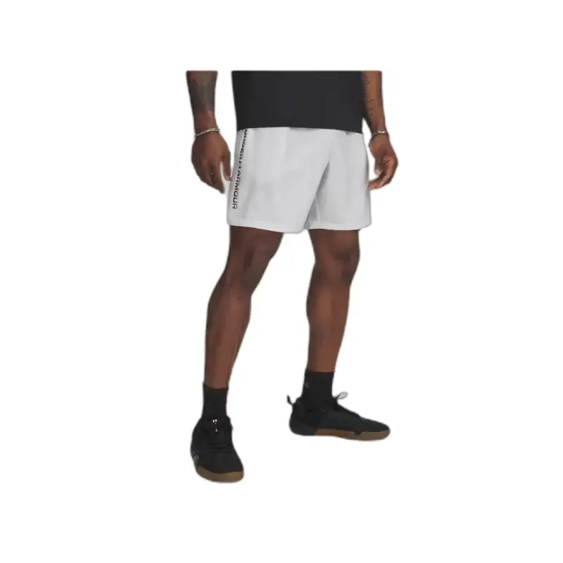Shorts Under Armour Tech Woven Wordmark Gris