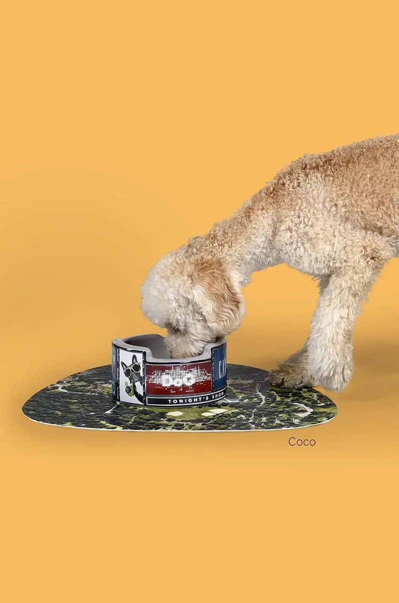 ciotola per animali New York x Seletti Multicolore miniatura 4