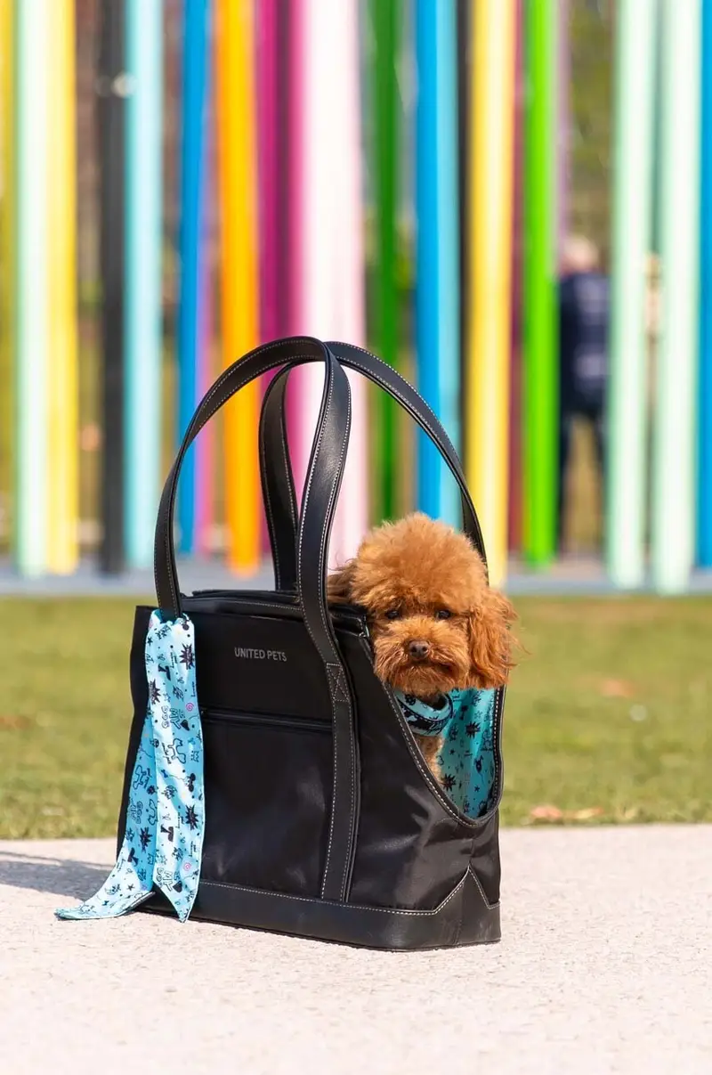 trasportino per animali domestici Up Bag Multicolore miniatura 5