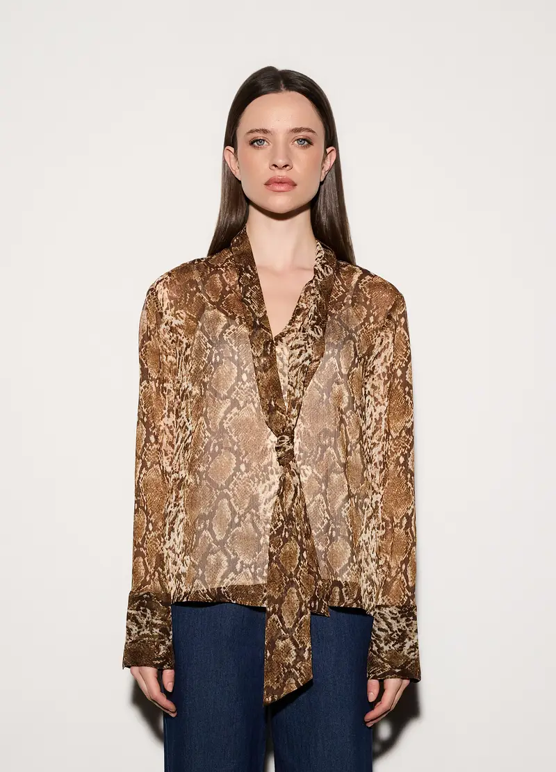 Blusa Regular Fit Con Scollo A V Donna, Unisex, Marrone chiaro miniatura 2