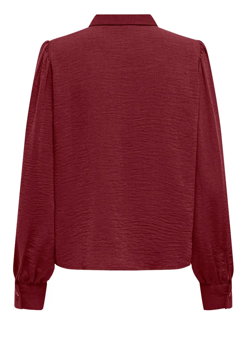 Camicia A Maniche Lunghe Donna, Unisex, Rosso mattone miniatura 2