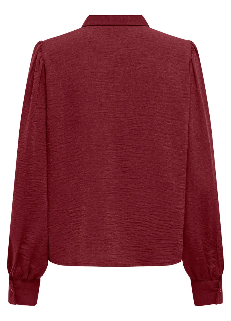 Camicia In Tinta Unita Donna, Unisex, Rosso mattone miniatura 2