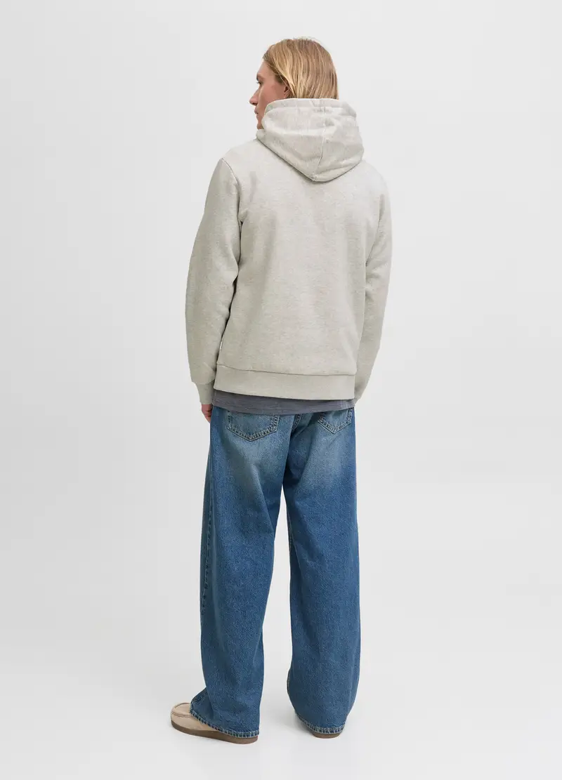 Felpa Con Cappuccio E Stampa Uomo, Unisex, Grigio chiaro melange miniatura 2