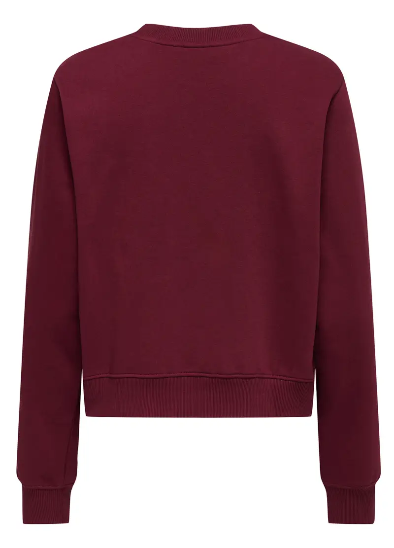 Felpa Con Stampa Donna, Unisex, Rosso miniatura 2