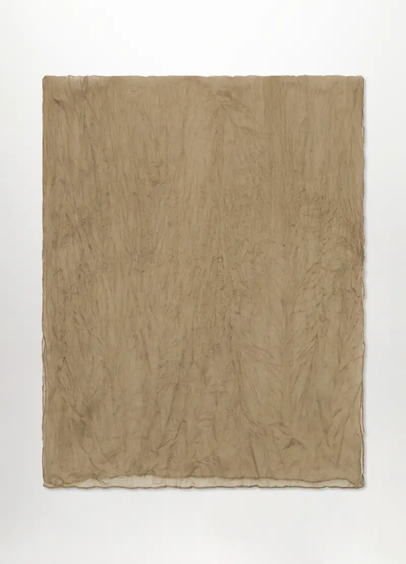 Foulard Crinkle Tinta Unita Donna, Verde muschio