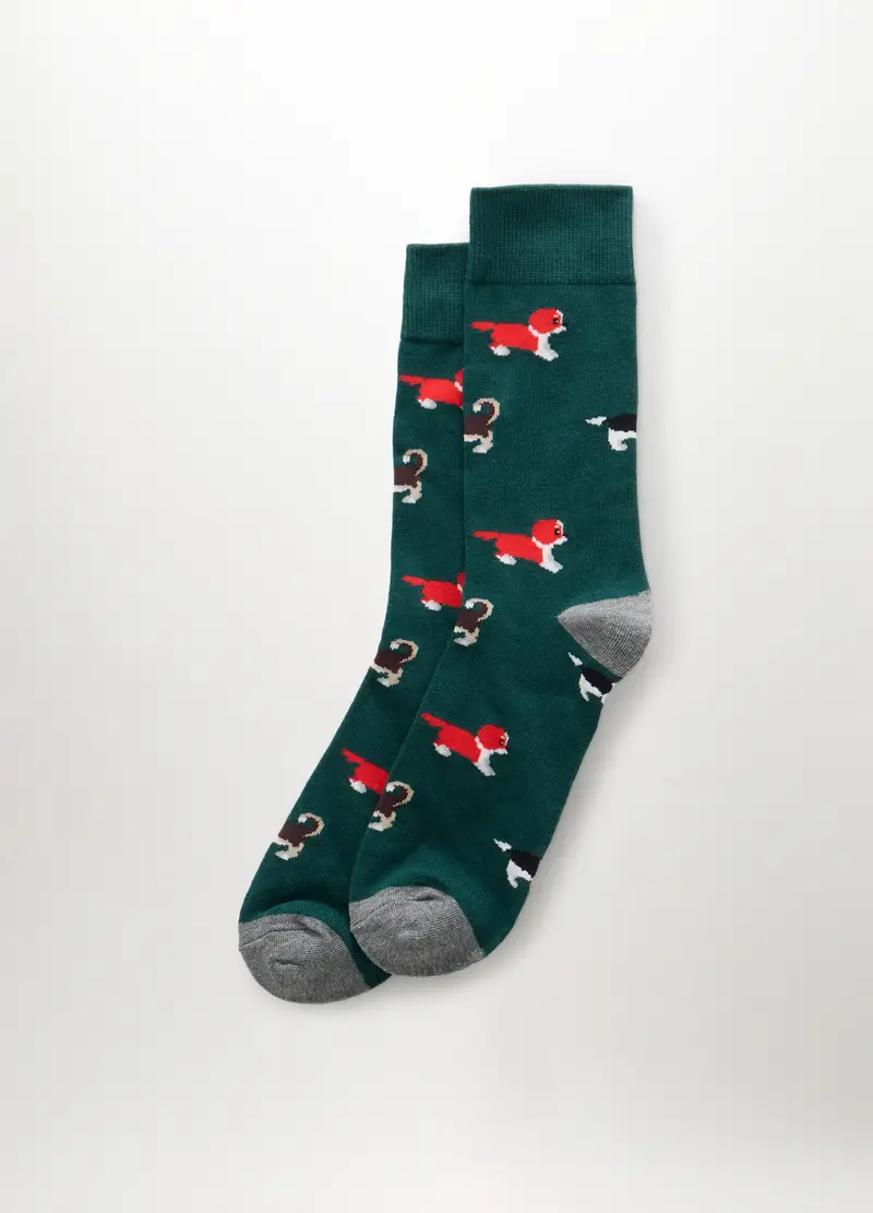 UPIM HB Calze Uomo Verde 2868958