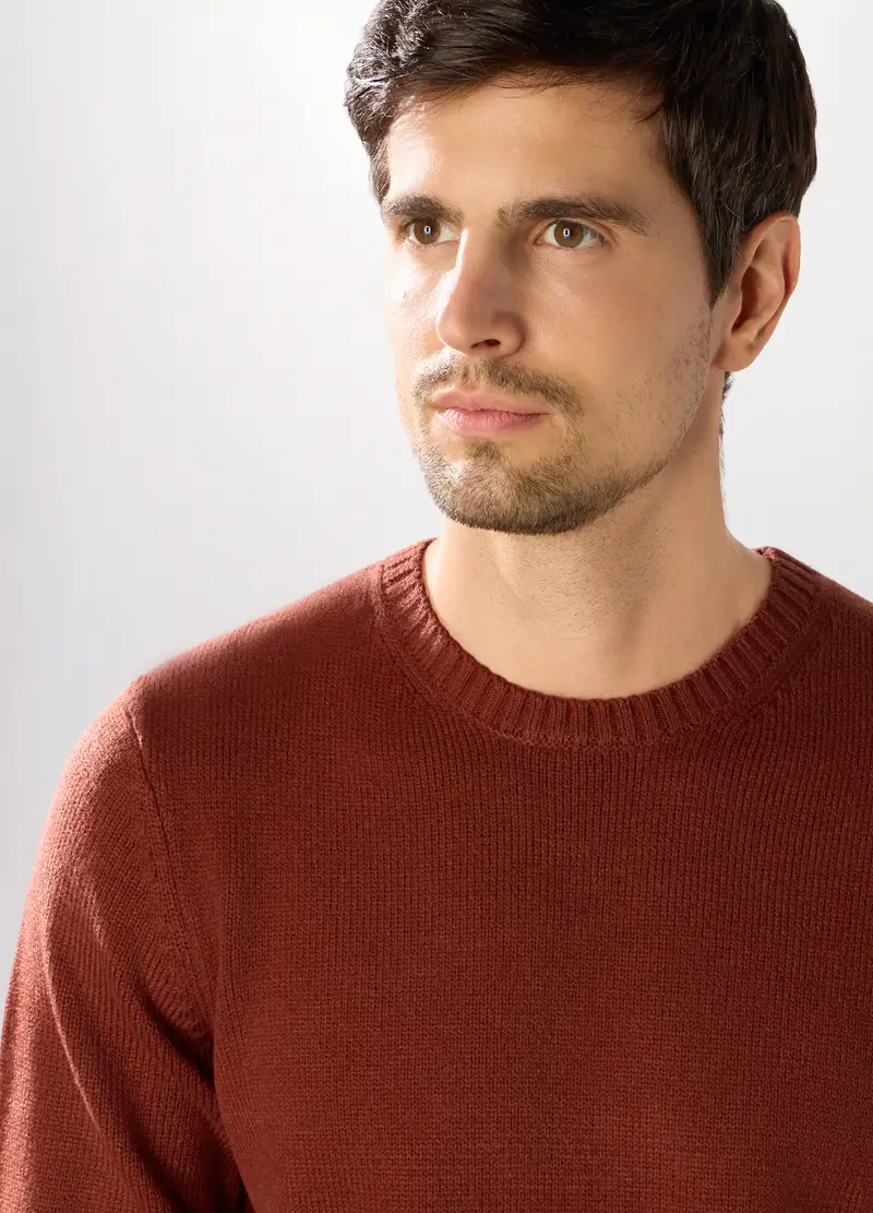 Maglione Girocollo A Maglia Rasata Uomo, Rosso mattone miniatura 3