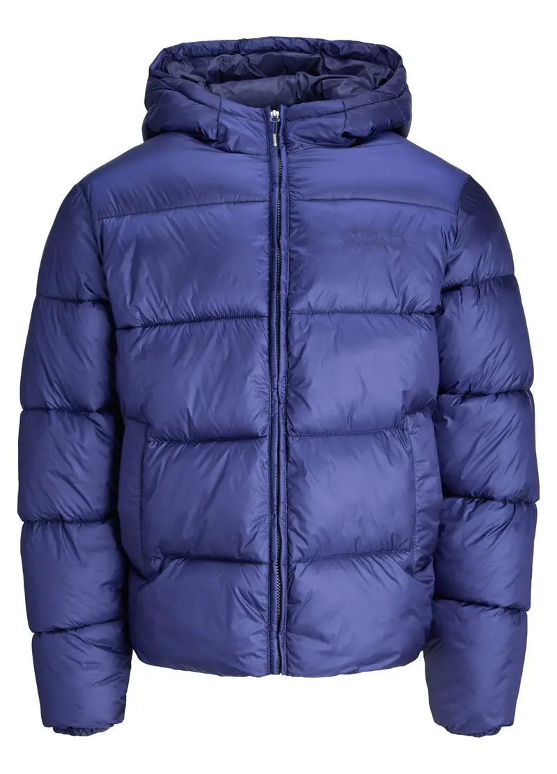 Piumino Trapuntato Con Cappuccio Uomo, Unisex, Blu royal