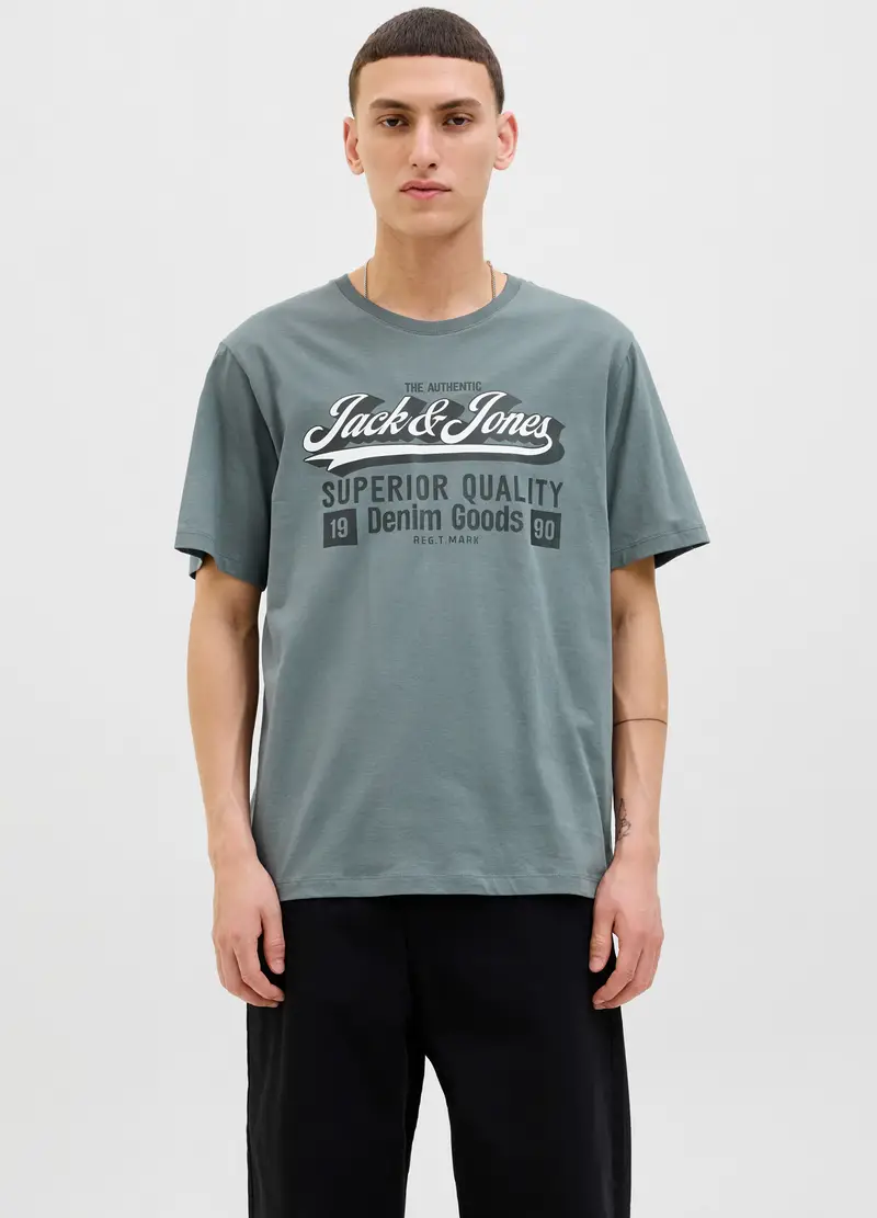 T-shirt Girocollo Con Stampa Uomo, Unisex, Grigio cemento