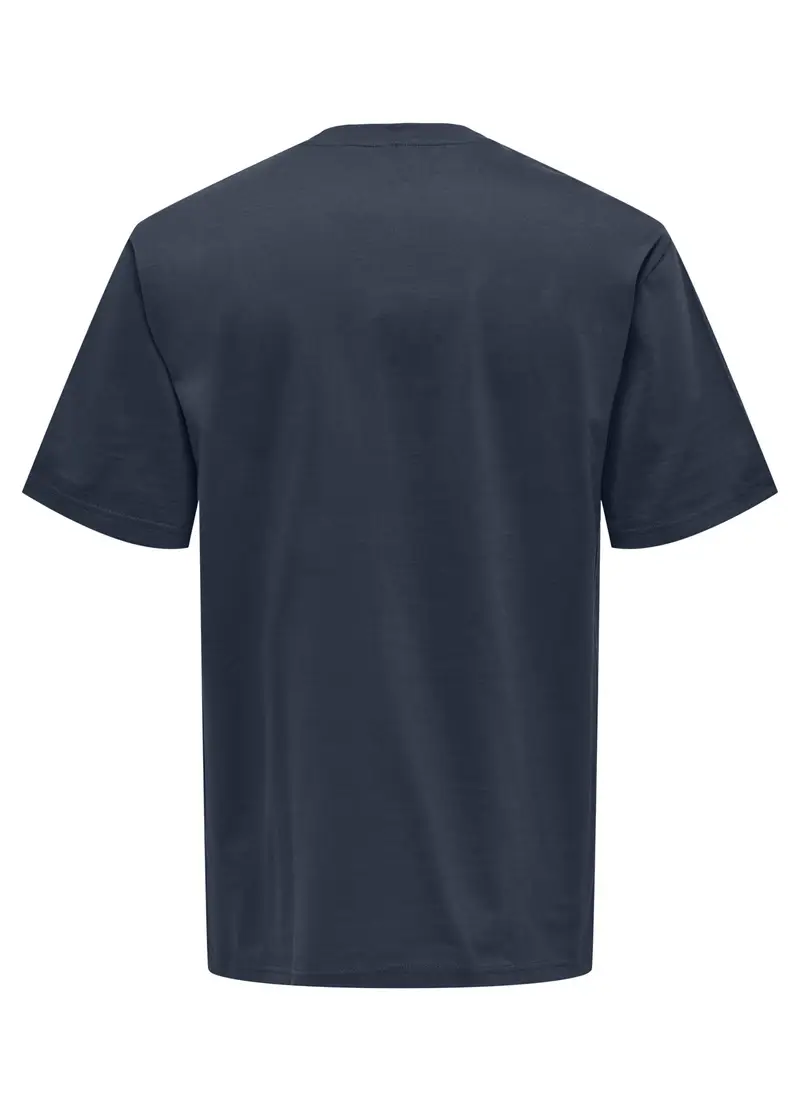 Upim T-shirt Uomo Blu 4307644 miniatura 2
