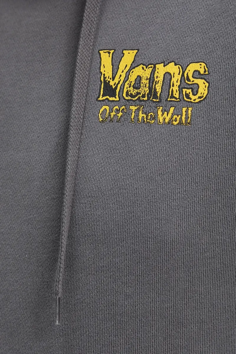 felpa in cotone uomo colore grigio con cappuccio VN000NWP1O71 miniatura 5