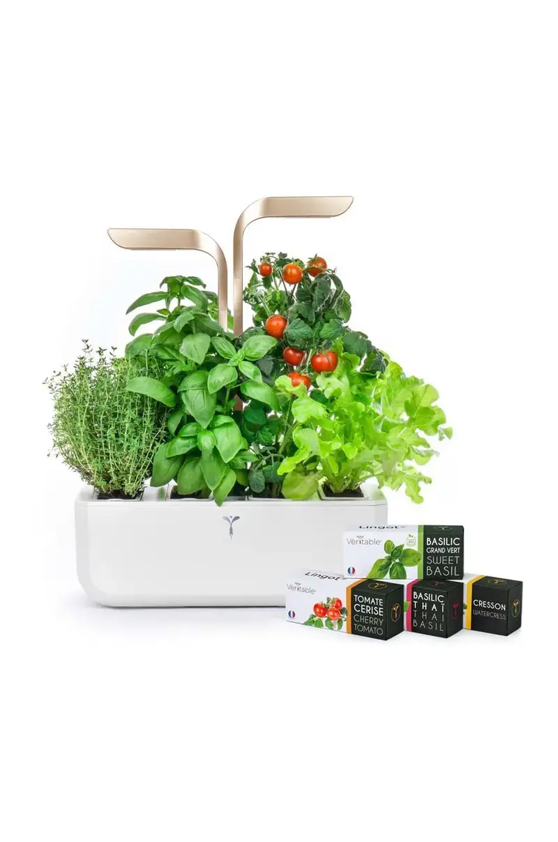 autonomico giardino da casa Connect Giallo miniatura 2