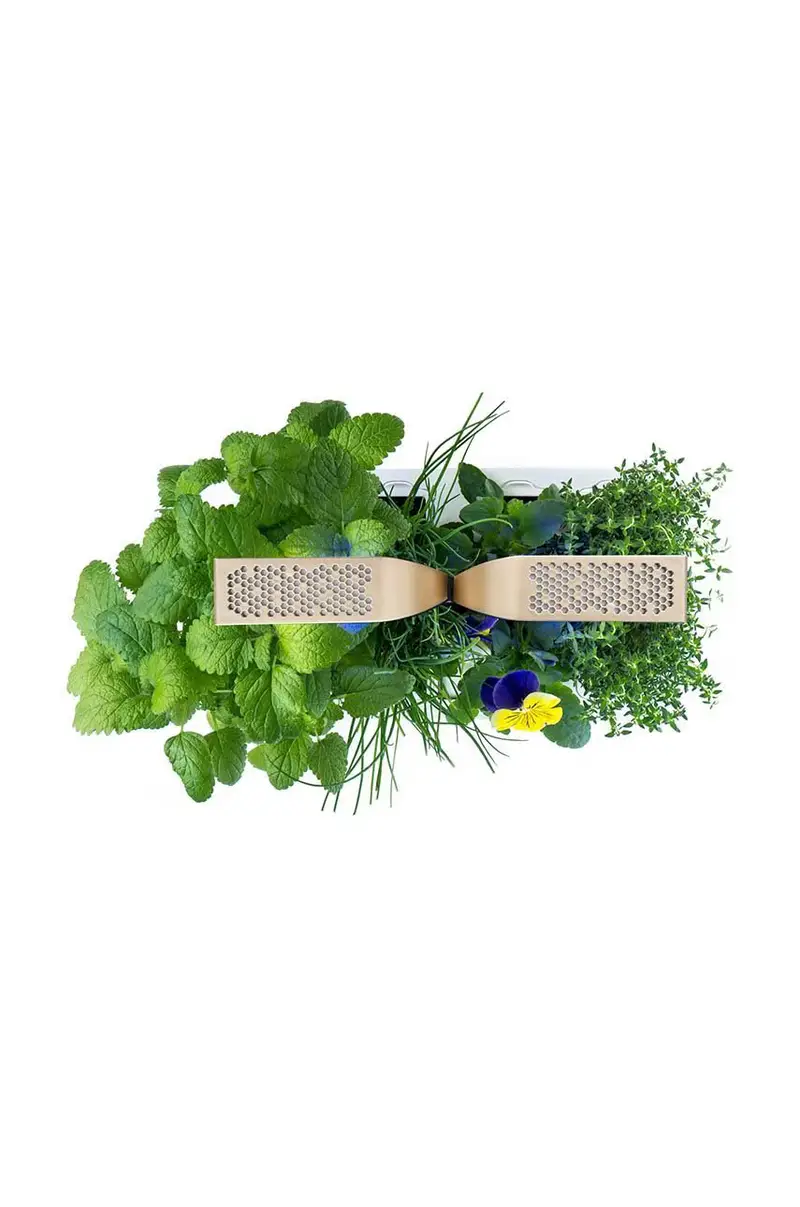 autonomico giardino da casa Connect Giallo miniatura 3