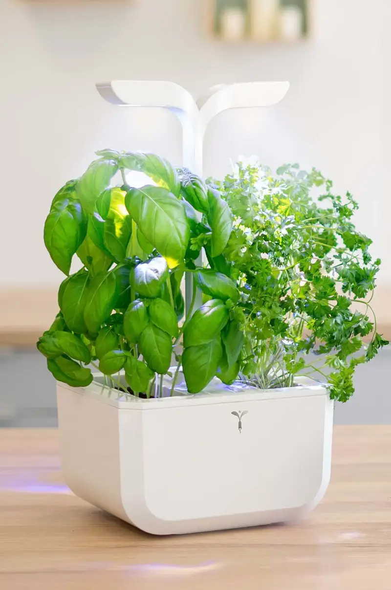 autonomico giardino da casa Exky Classic Bianco miniatura 4