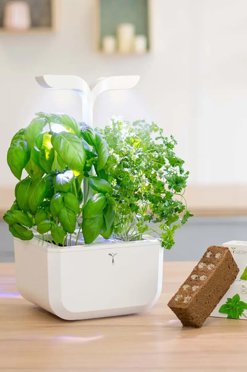 autonomico giardino da casa Exky Classic Bianco miniatura 5