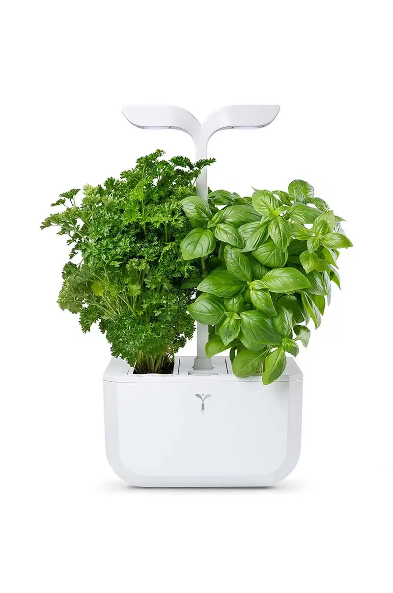 autonomico giardino da casa Exky Classic Bianco