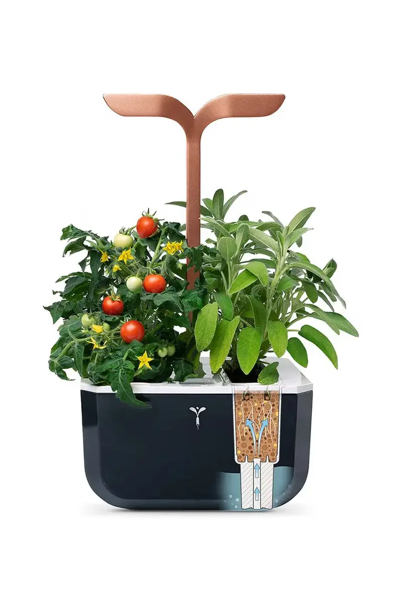autonomico giardino da casa Exky Smart Multicolore miniatura 2