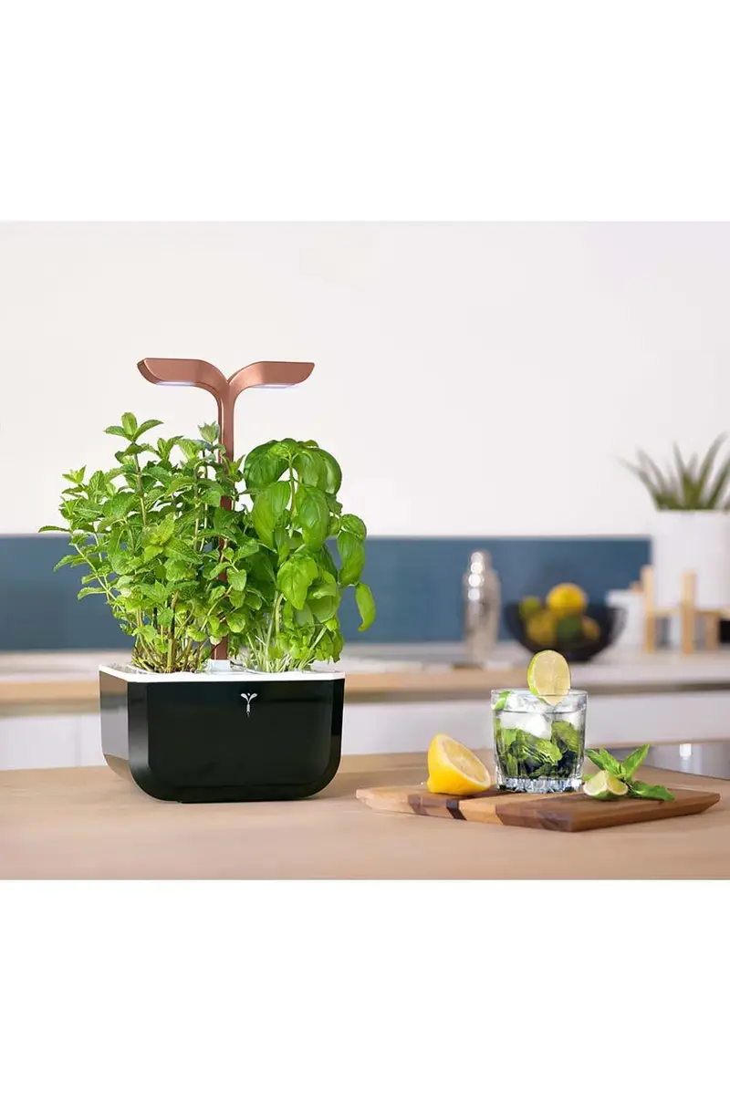 autonomico giardino da casa Exky Smart Multicolore miniatura 3