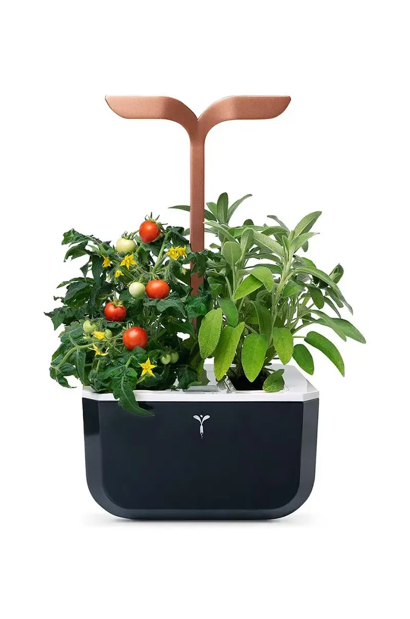 autonomico giardino da casa Exky Smart Multicolore