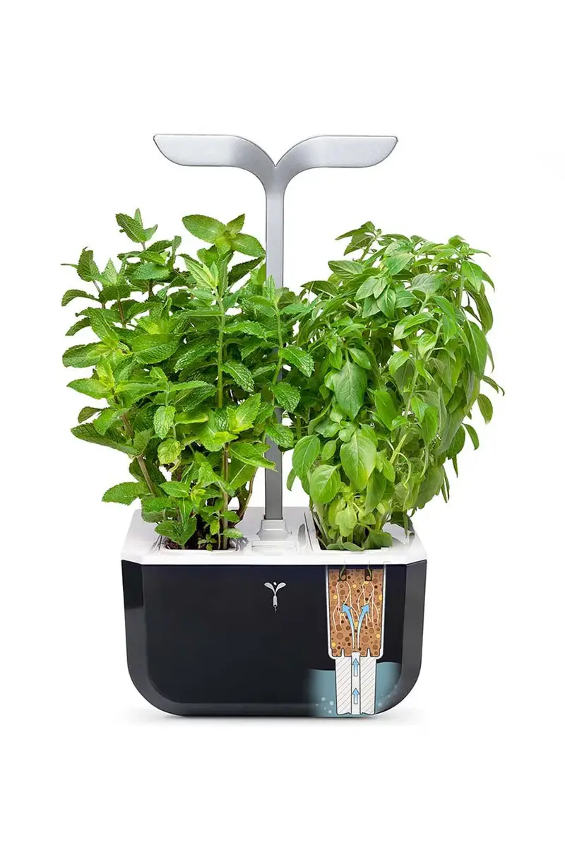 autonomico giardino da casa Exky Smart Nero miniatura 2