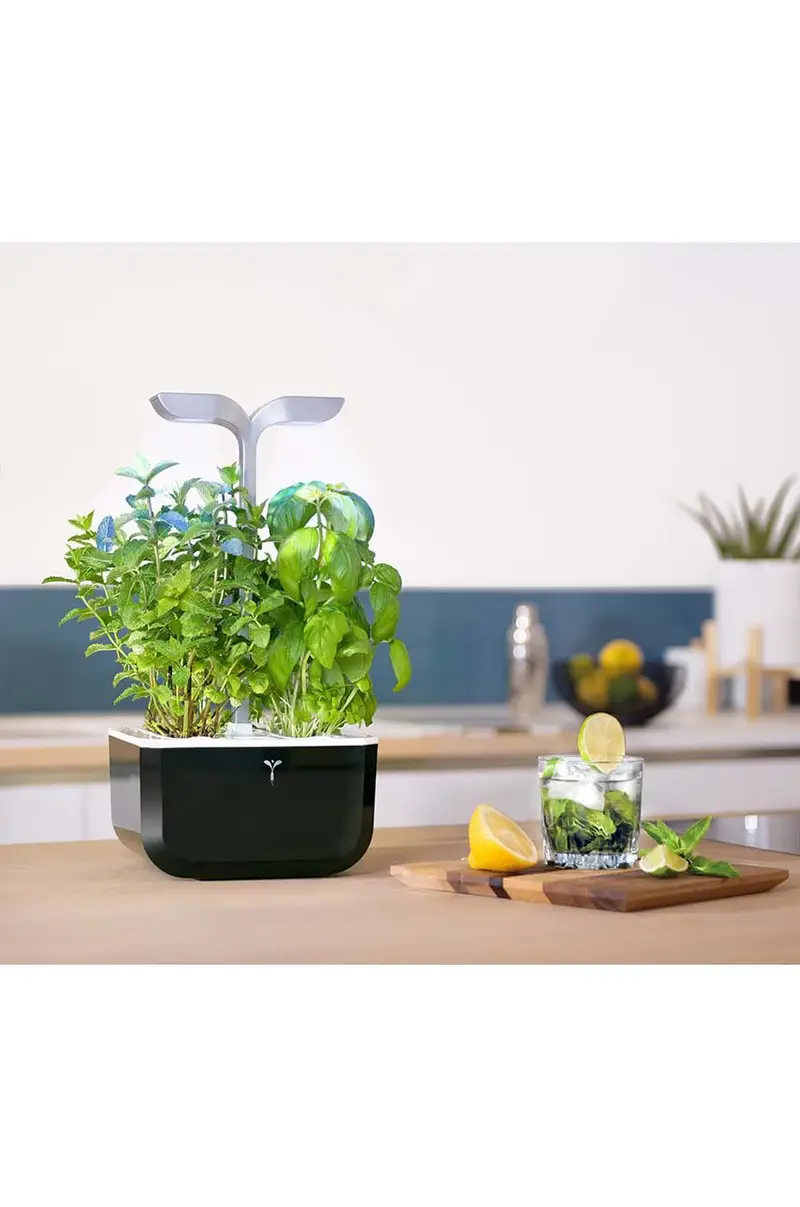 autonomico giardino da casa Exky Smart Nero miniatura 3