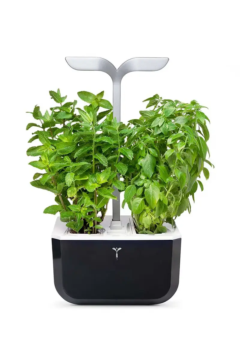 autonomico giardino da casa Exky Smart Nero