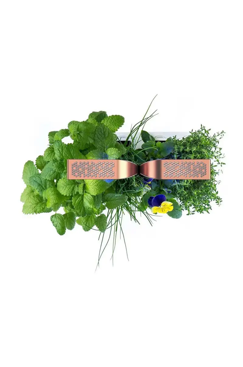 autonomico giardino da casa Smart 33 × 18, 5 x 45 cm Arancione miniatura 2