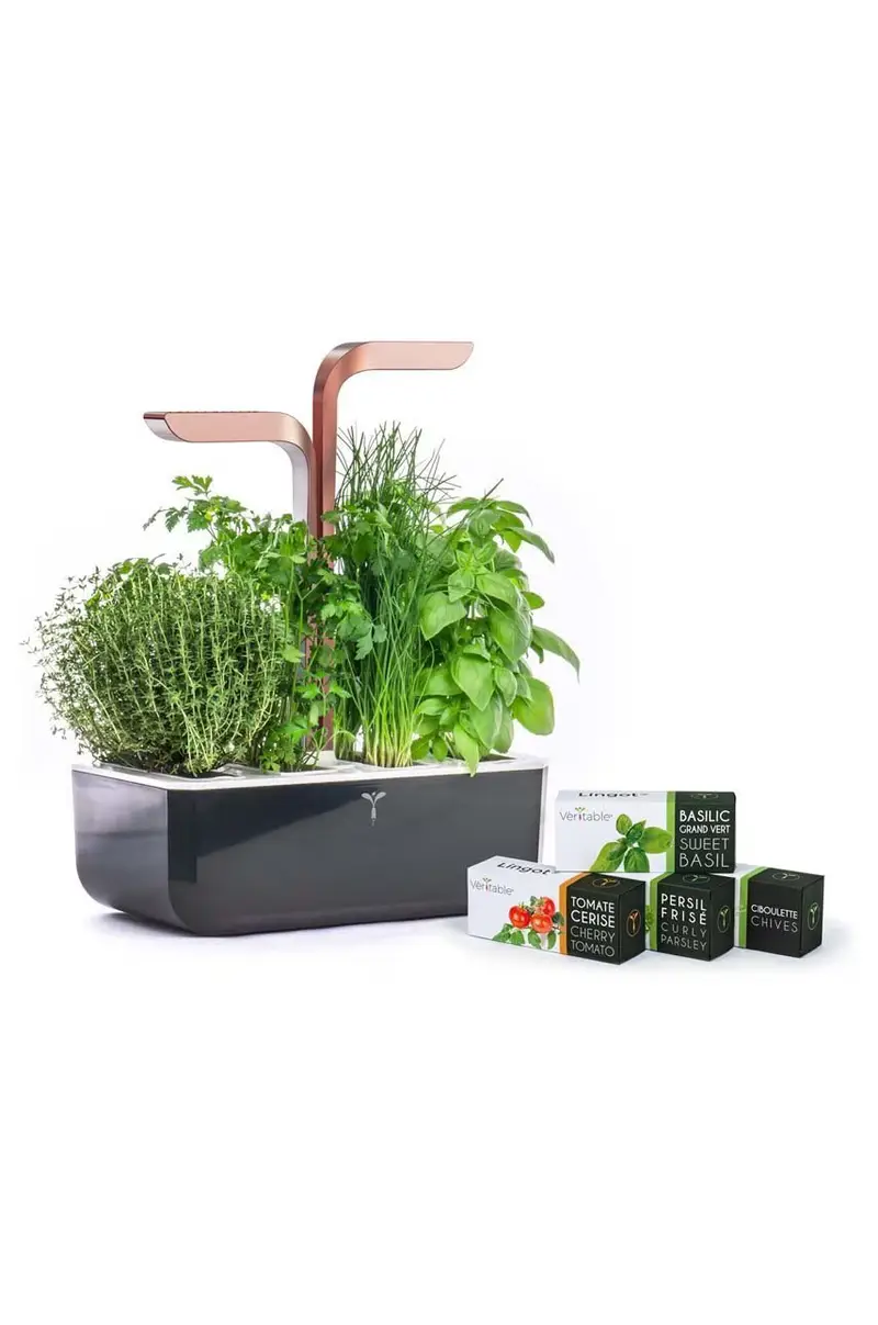 autonomico giardino da casa Smart 33 × 18,5 x 45 cm Arancione