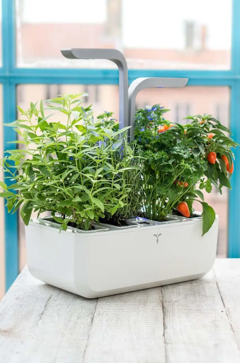 autonomico giardino da casa Smart Bianco miniatura 2