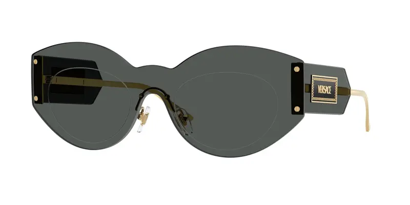 Versace Occhiali da sole Donna Grigio 837219