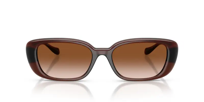 Versace Occhiali da sole Donna Marrone 3182787 miniatura 3