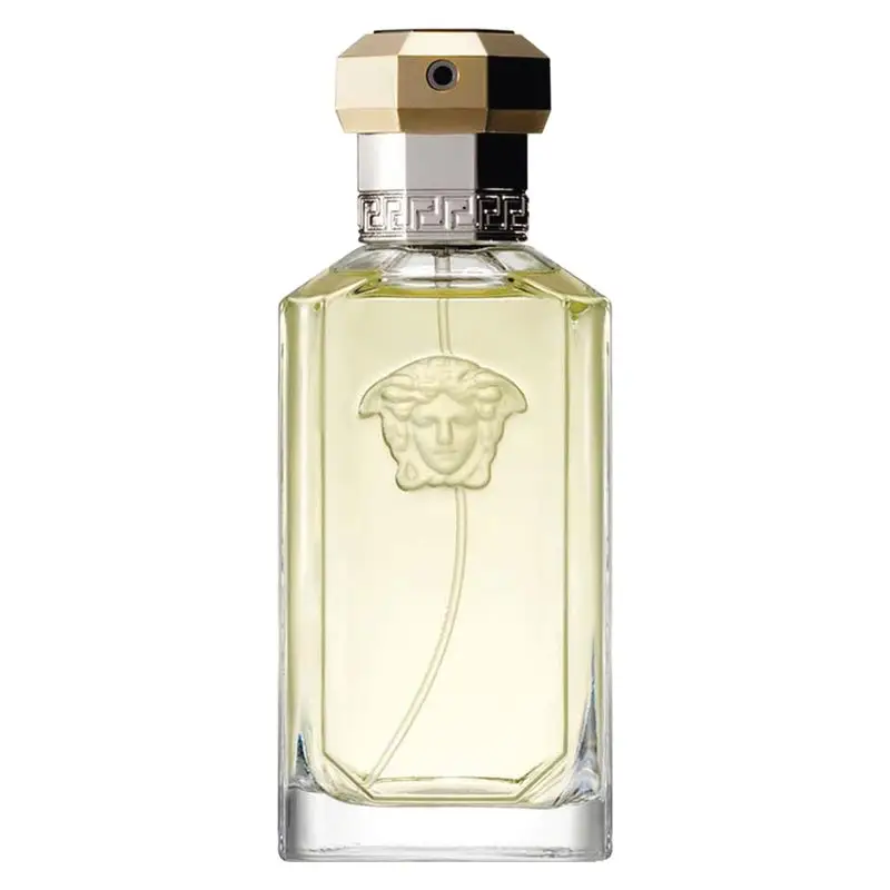 Outlet Versace the Dreamer - EDT 100 ml