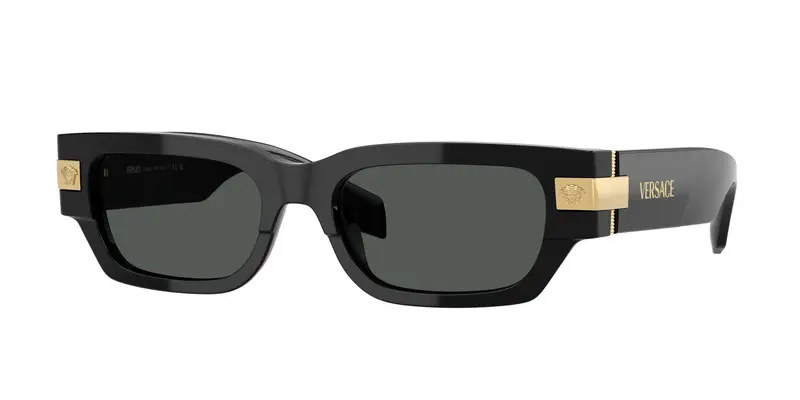 Versace Occhiali da sole Uomo Grigio 829008